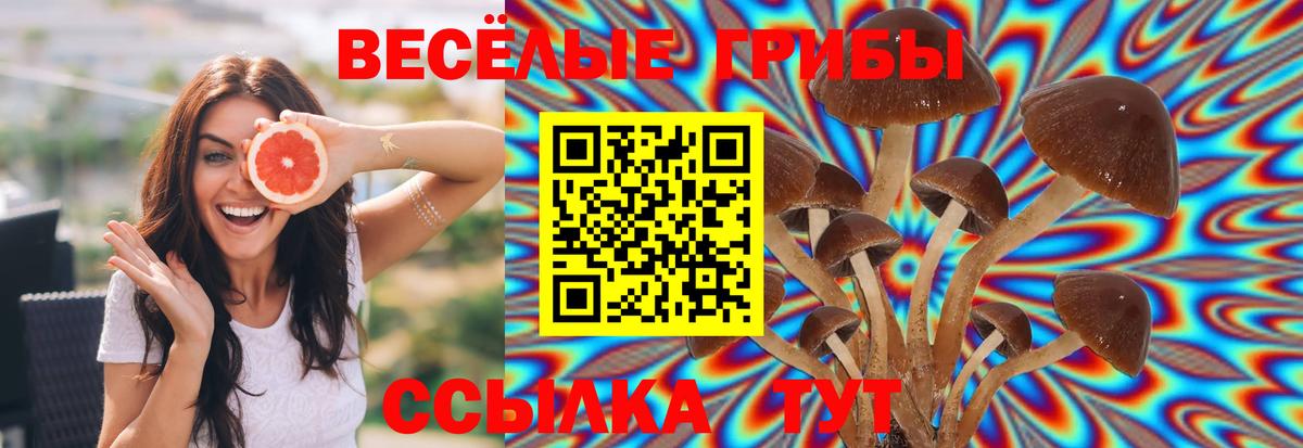 купить   Псилоцибиновые грибы прущие грибы  Вход с VPN  Соликамск  Псилоцибиновые грибы Magic Shrooms 